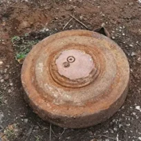 vl-2